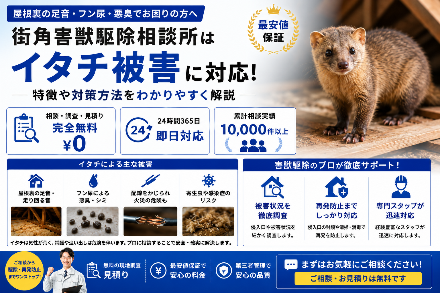 街角害獣駆除相談所のイタチ被害対策や天井裏の足音、無料調査の流れを解説する青系イメージ画像