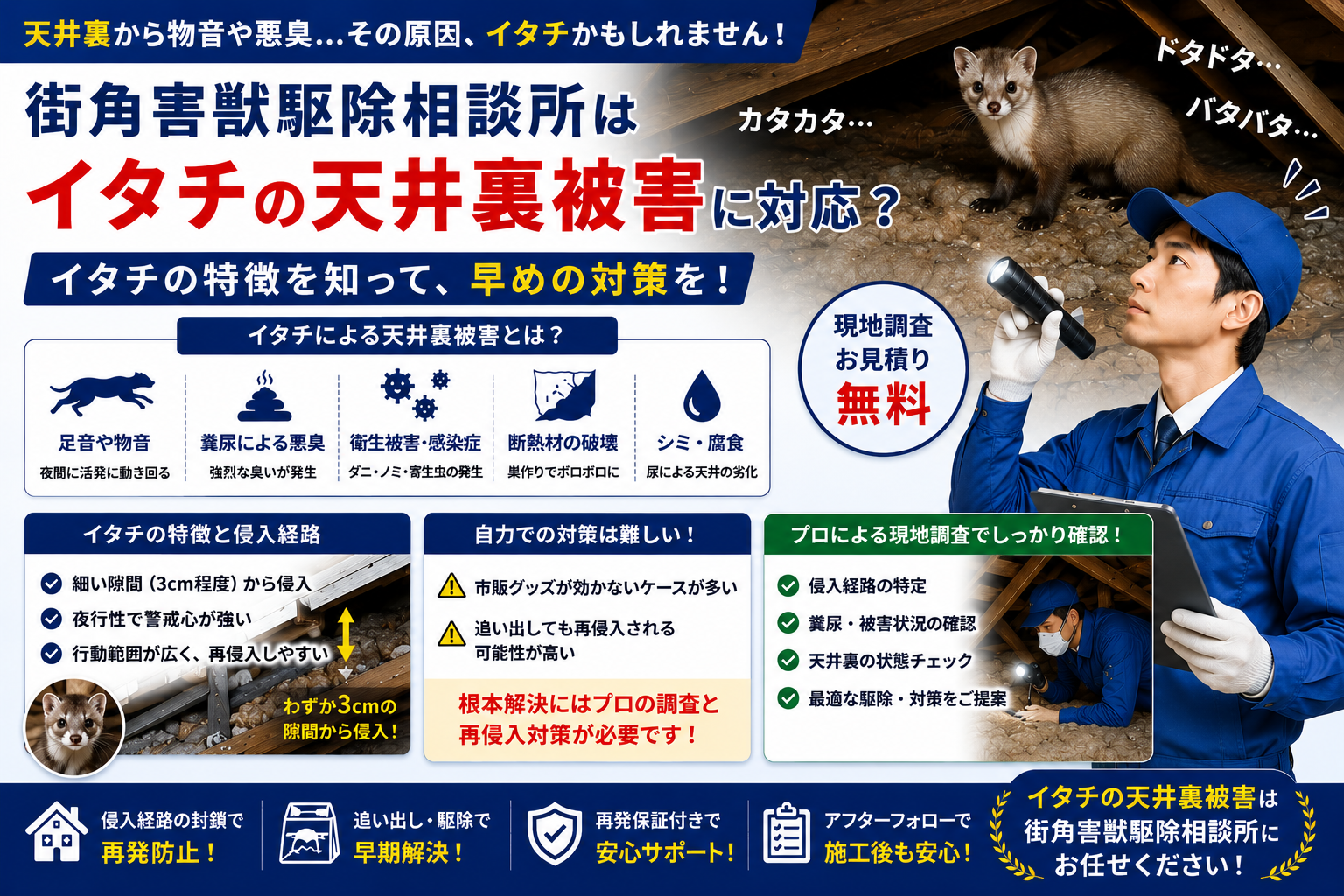 街角害獣駆除相談所のイタチによる天井裏被害や足音、糞尿被害や再侵入対策を解説する青系イメージ画像