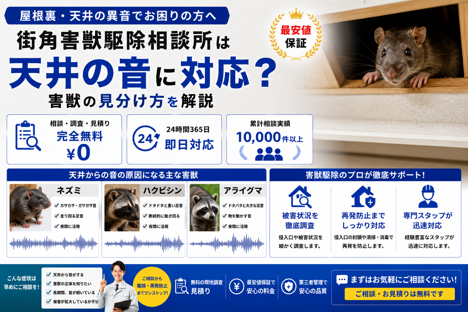 街角害獣駆除相談所の天井の音や害獣の見分け方、異音の原因や無料調査を解説する青系イメージ画像