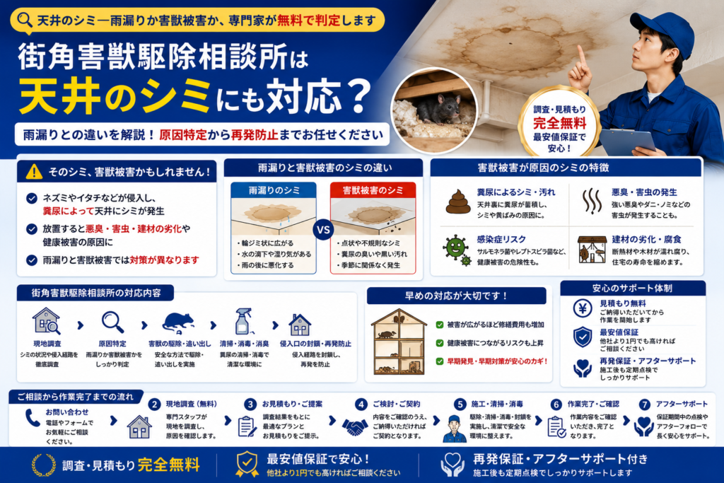 街角害獣駆除相談所の天井のシミや雨漏りとの違い、害獣被害の原因特定を解説する青系イメージ画像
